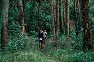 BIB: 
                            <button type="button" onclick="openModal(25236509)" class="btn btn-primary btn-sm float-right btn-popup" data-toggle="modal" data-target=".modal-high-quality">
                        <i class="fas fa-shopping-cart"></i> Add to Cart
                    </button>
                                            <button type="button" onclick="isThisMe(25236509, true)" class="btn btn-success btn-sm float-right btn-popup btn-isme hidden" data-toggle="tooltip" data-placement="bottom" title="นี่คือรูปของคุณใช่ไหม คลิกที่นี่เพื่อเอาเข้าอัลบั้ม">
                        <i class="fas fa-plus"></i> Add to album
                    </button>
                    <button type="button" onclick="isThisMe(25236509, false)" class="btn btn-warning btn-sm float-right btn-popup btn-isnotme hidden">
                        <i class="fas fa-ban"></i> Remove from album
                    </button>